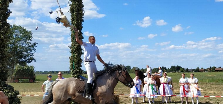 Hahnrupfen in Byhleguhre & Skadow