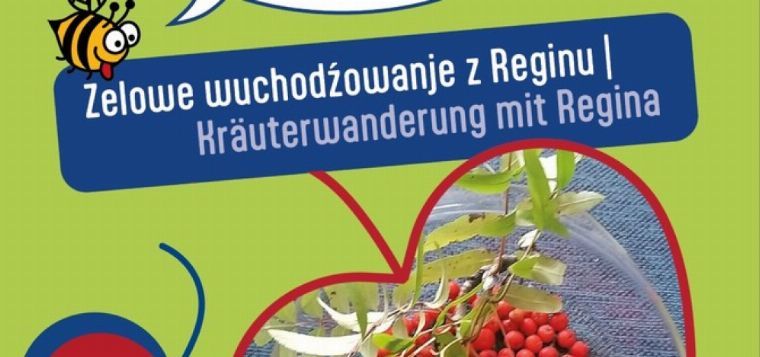 Kräuterwanderung mit Regina