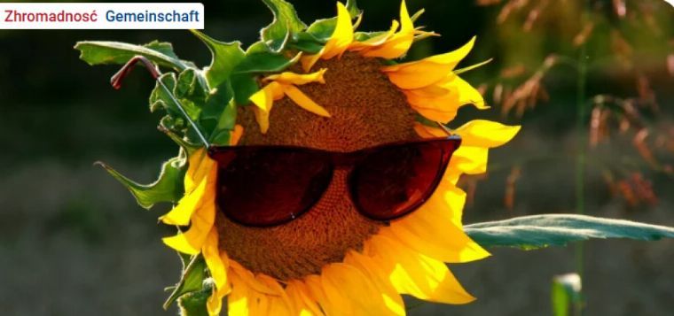Sommerfest des DOMOJ-Kurses 2026