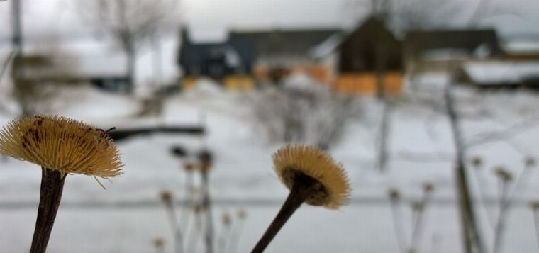 Sorbische Winterwanderung