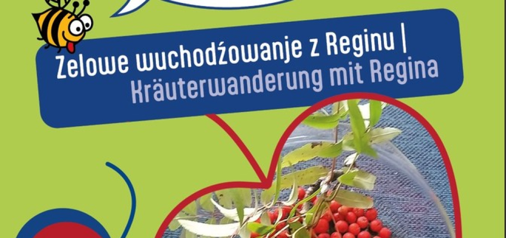 Kräuterwanderung mit Regina
