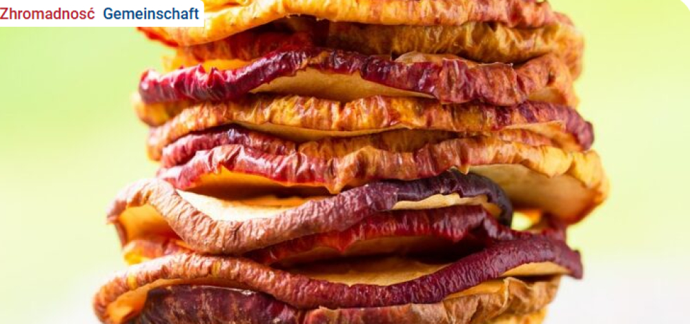 Pisana Serbskosć  (buntes Sorbentum)