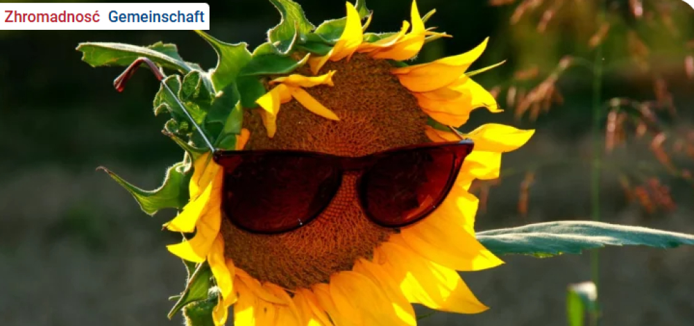 Sommerfest des DOMOJ-Kurses 2026